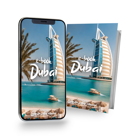 Ebook Dubaï